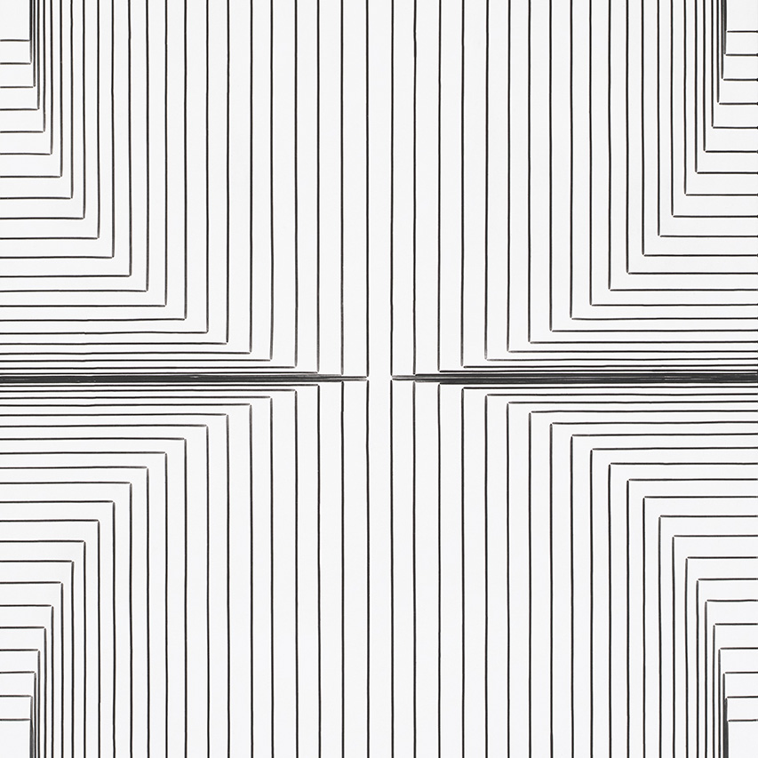 Tim Hawkinson: "Bunub"