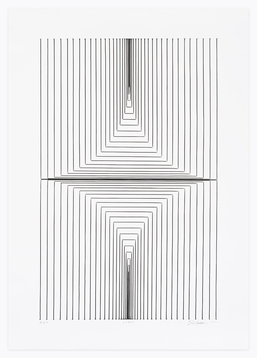 Tim Hawkinson: "Liboc"